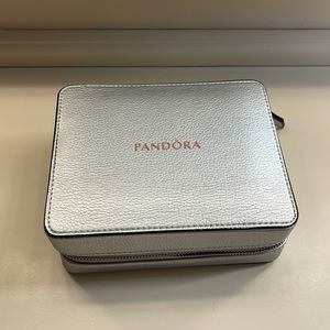 Pandora Storage case